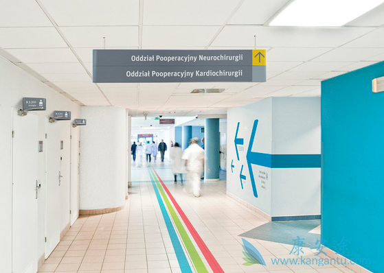 医疗旅游 医疗旅游