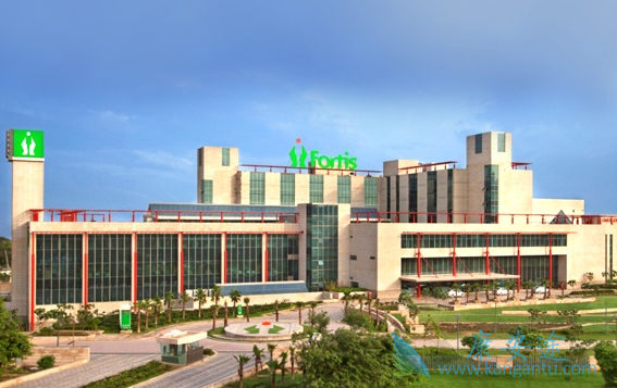 海外医疗 海外医疗