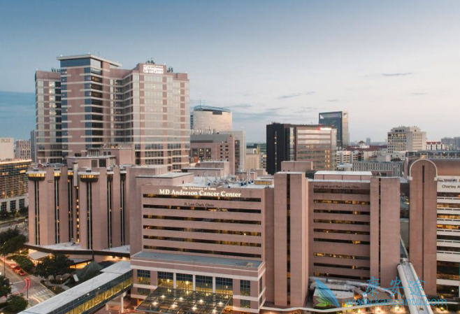 医疗旅游 医疗旅游