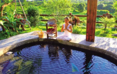 各国的医疗旅游行业都结合了自己的特色