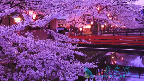 医疗旅游 医疗旅游