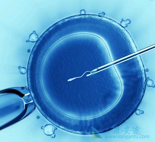 海外医疗 海外医疗