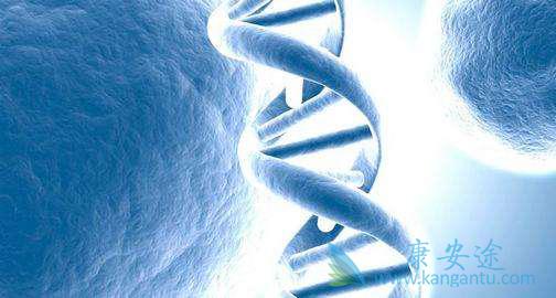 海外医疗 海外医疗