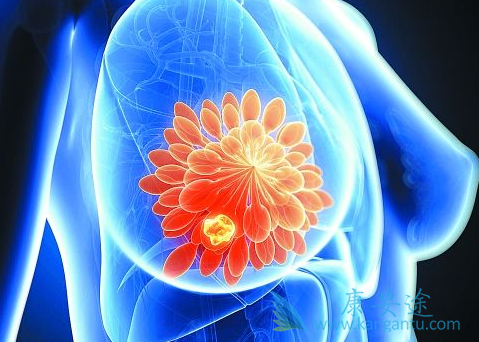 瑞博西尼 瑞博西尼