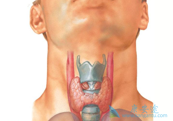 甲状腺癌的早期症状 甲状腺癌的早期症状