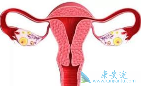 妇科肿瘤 妇科肿瘤