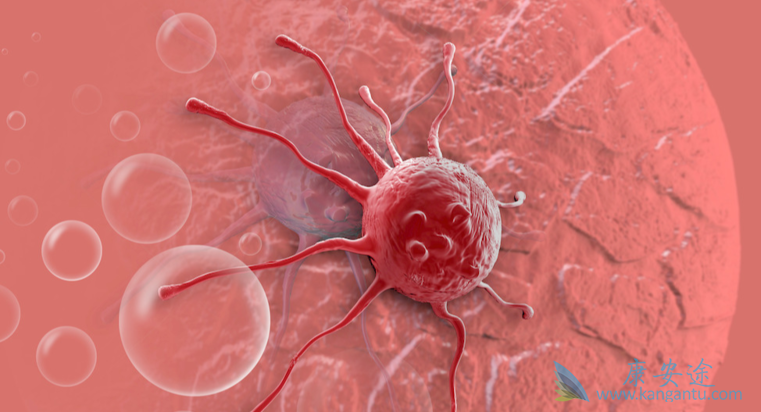 肺癌的治疗;肿瘤 肺癌的治疗;肿瘤