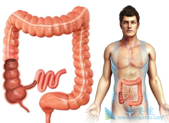 结肠癌治疗 结肠癌治疗