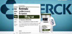 ʲôKeytrudaKeytrudaЧ
